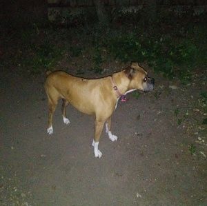 Meet your Posher, Marie